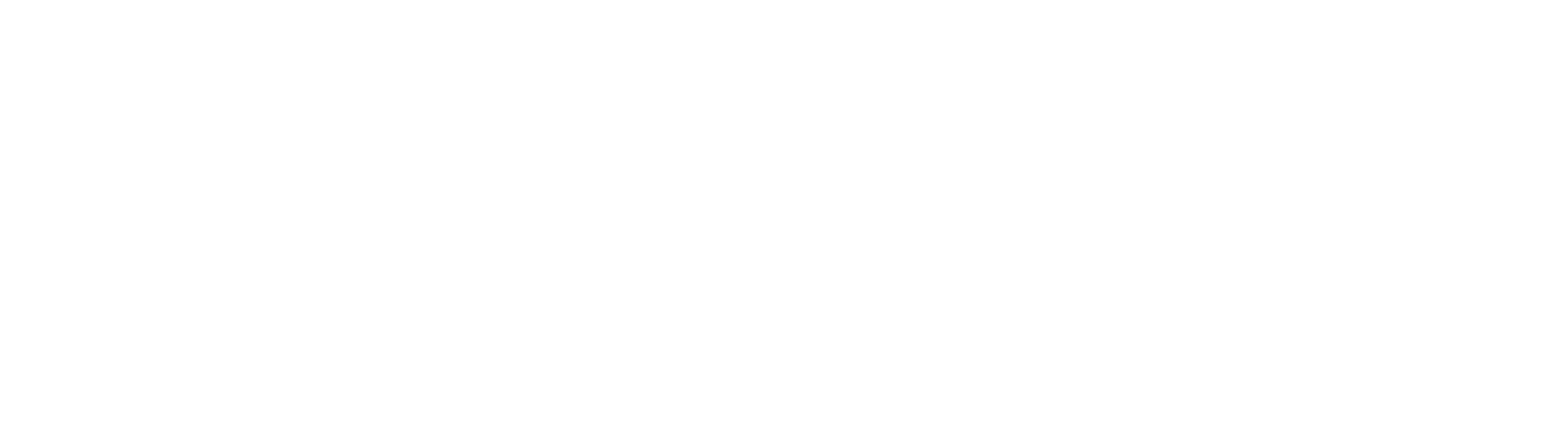 Skull Dixon Logo White